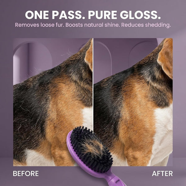 Soft Bristle Dog Brush for Short Haired Cats or Dogs - Firm Bristles to Remove Dust, Dirt, and Loose Fur - Hook and Rubber Handle3