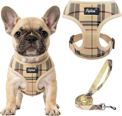 PUPTECK Soft Mesh Dog Harness Small Sized and Leash Set Pet Puppy Cat Comfort Padded Vest No Pull Harnesses, Beige, S49