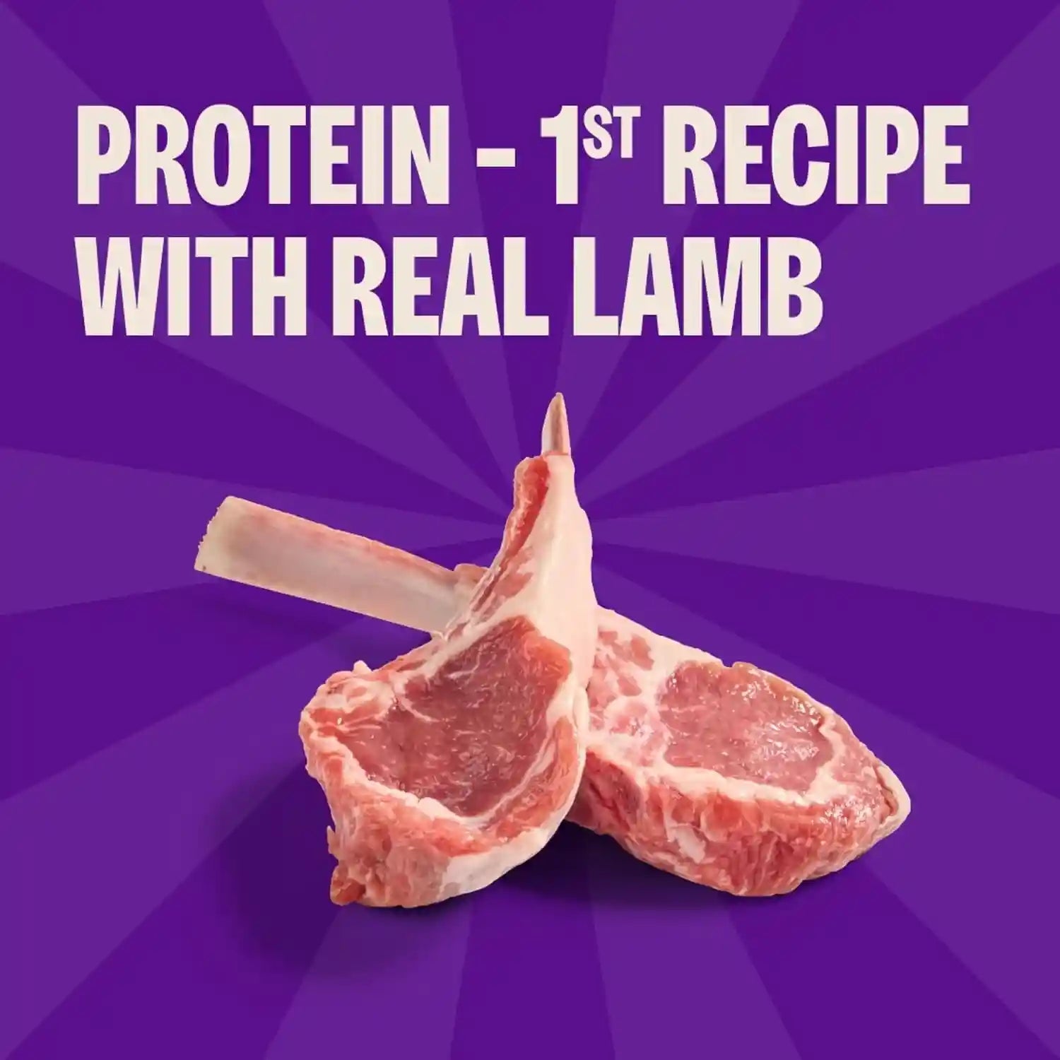 wellness-rewarding-life-soft-dog-training-treats-natural-grain-free-lamb-and-salmon-recipe-6-oz-bag