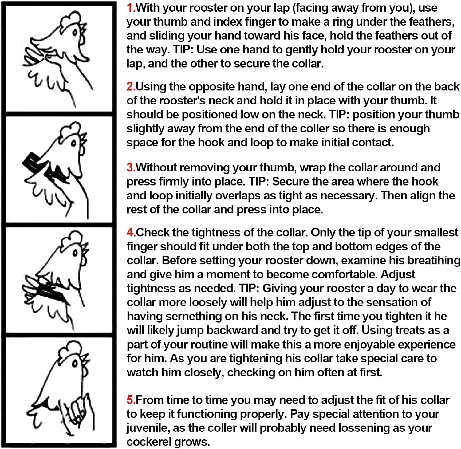 upgrade-anti-crow-rooster-collar-chicken-neckband-noise-free-no-crow-rooster-collar-anti-noise-nylon-neck-belt-to-keep-roosters-quiet-6-pieces