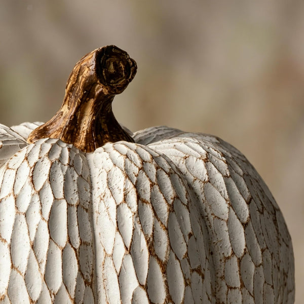 Fall Pumpkin Decor, Set of 2 Resin Pumpkins, Thanksgiving Decor | Elegant Textured White Pumpkins, Fall Decor Accent for Thanksgiving Table Centerpiece, Mantel, Shelf and Autumn Home Decor.7