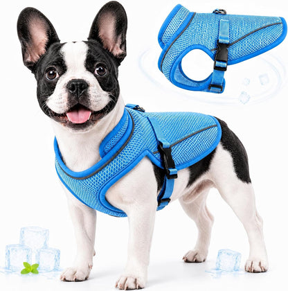 Dog Cooling Vest, Evaporative Cooling Dog Jacket with UV Protection, Lightweight Breathable Mesh Dog Cooling Shirt, Summer Heat Relief Gear with Adjustable Buckles for Hot Weather Walking & Hiking12