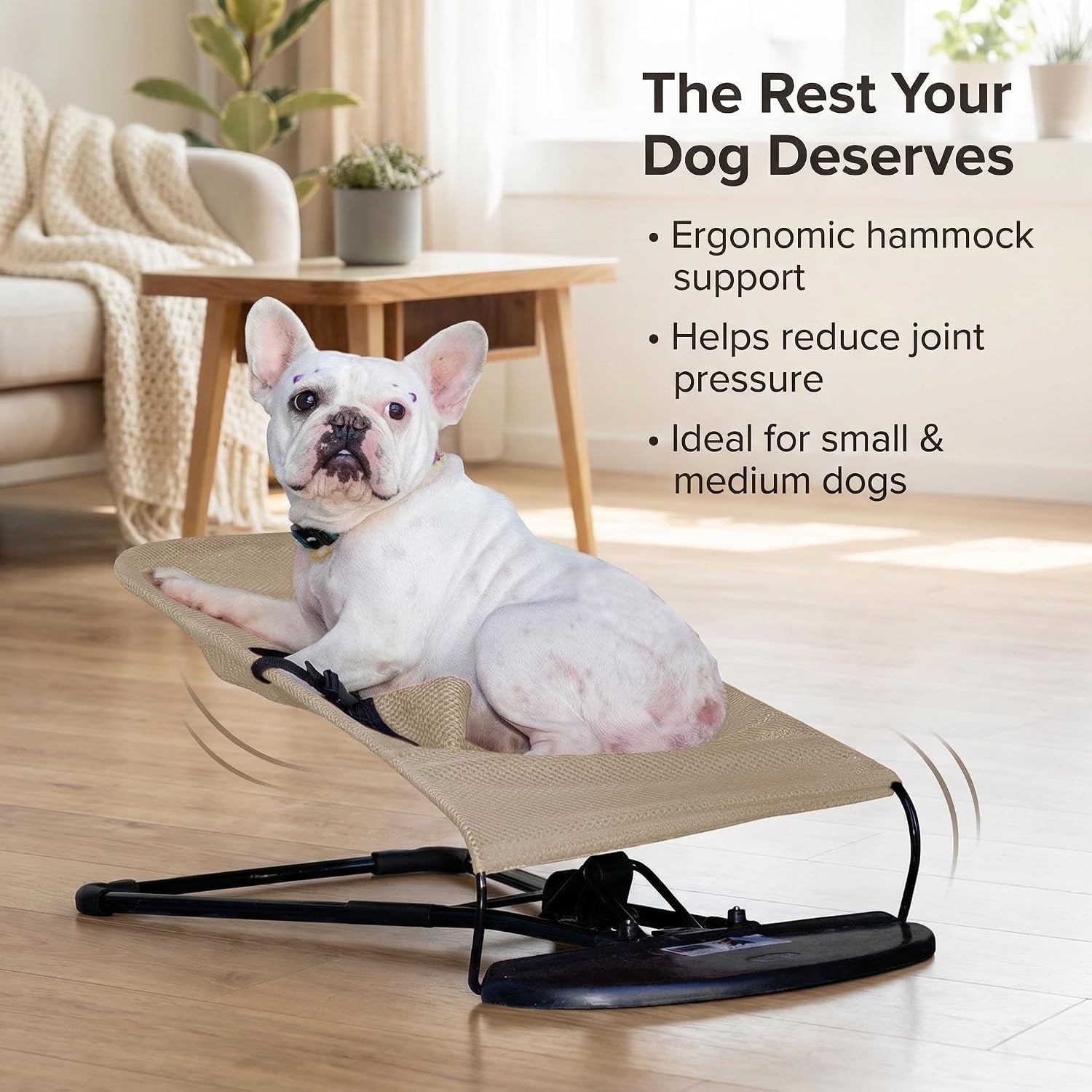 cat-dog-rocking-chair-bouncer-bed-for-frenchie-french-bulldog-lounge-outdoor-portable-foldable-pet-furniture-adjustable-height-breathable-mesh-safety-harness-for-small-animals-puppies