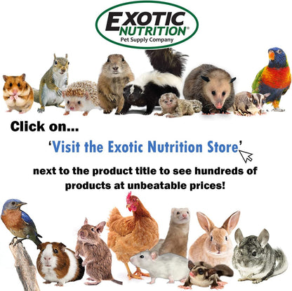 Mango & Papaya Treat (4.5 Oz.) - Healthy Treat for Small Animals - Sugar Gliders, Rats, Chinchillas, Ferrets, Parrots, Hamsters, Squirrels, Hedgehogs, Guinea Pigs, Rabbits & Other Small Animals7
