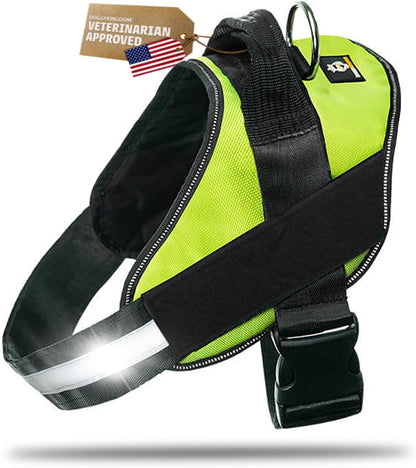 DOGGYKINGDOM No Choke Dog Harness with Handle and Patch Panels, Adjustable Reflective Dog Vest for Small Sized Dog, Blue, S10