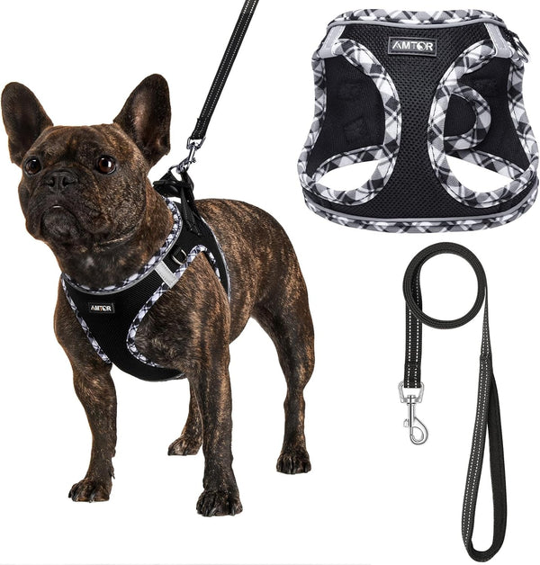 AMTOR Small Dog Harness with Leash Set, No Escape Easy Walk Puppy Harnesses for Training Walking, Step-In Reflective Soft Dogs Vest for XS S Medium Extra-Small Large Sized Dog(Green,S)23