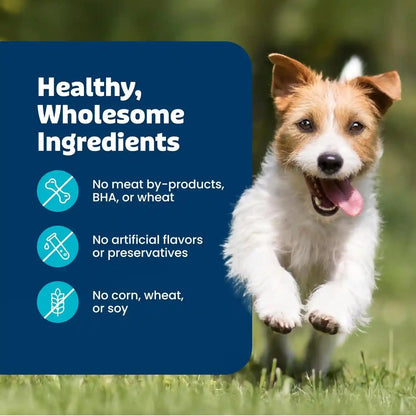 Blue Buffalo Health Bars Pumpkin & Cinnamon Crunchy Dog Biscuits, Oven-Baked with Pumpkin & Natural Ingredients, Healthy Dog Treats with No Artificial Flavors or Preservatives, 16 Oz.10