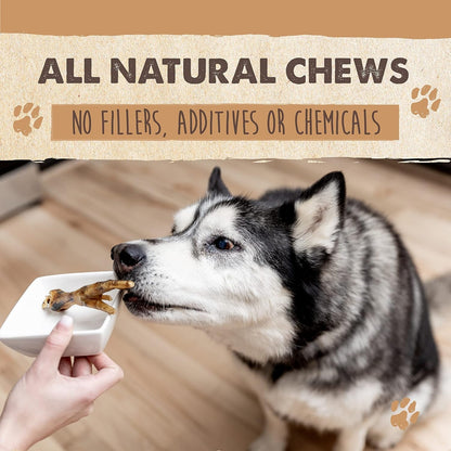 Mighty Paw Naturals Chicken Feet Dog Treats, Single Ingredient, 30 Pack | High Protein, Glucosamine & Chondroitin, Supports Joint Health, for Puppies, Slow-Dried, Grain-Free, Low Odor3
