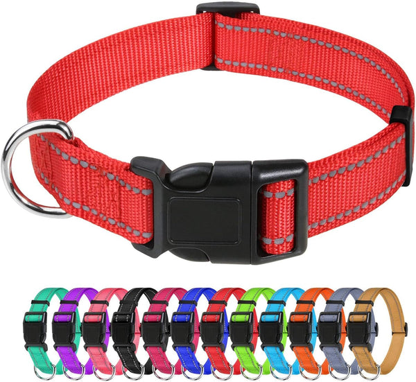 Tagme Small Dog Collar, Reflective Puppy Collar, Sky Blue, 3/8" Width | Lightweight, Nylon Collar for Puppies, Chihuahua, Yorkie & Teacup Dogs 5-15 Lbs, Reflective for Evening Walks, 12 Colors56