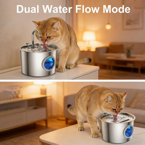 Cat Water Fountain Advanced 304 Stainless Steel 2.2L/74Oz with Detachable Tank, Easy to Clean, Automatic Pet Fountain Quiet Cats Water Dispenser, Perfect for Cats Dogs Indoor5