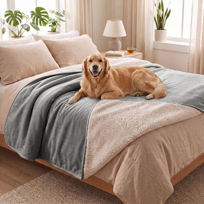 Waterproof Blanket for Dogs - Pet Throw as Furniture Protector | Cozy Sherpa & Smooth Velvet, Reversible and Machine Washable, for Couch and Bed, 60"X80", Dark Grey1