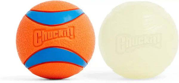 Chuckit! Glow in the Dark Bouncy Balls - Ball for Dogs, Chuckit Dog Toy, Max Glow Balls - Medium, 2.5 Inch Pack of 211