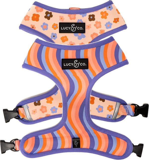 Lucy & Co. Reversible Dog Harness - Water-Repellent Neoprene, Dual-Print Design, Easy Swap Style, Adjustable Comfort Fit - Take a Bow Reversible Harness - Small31