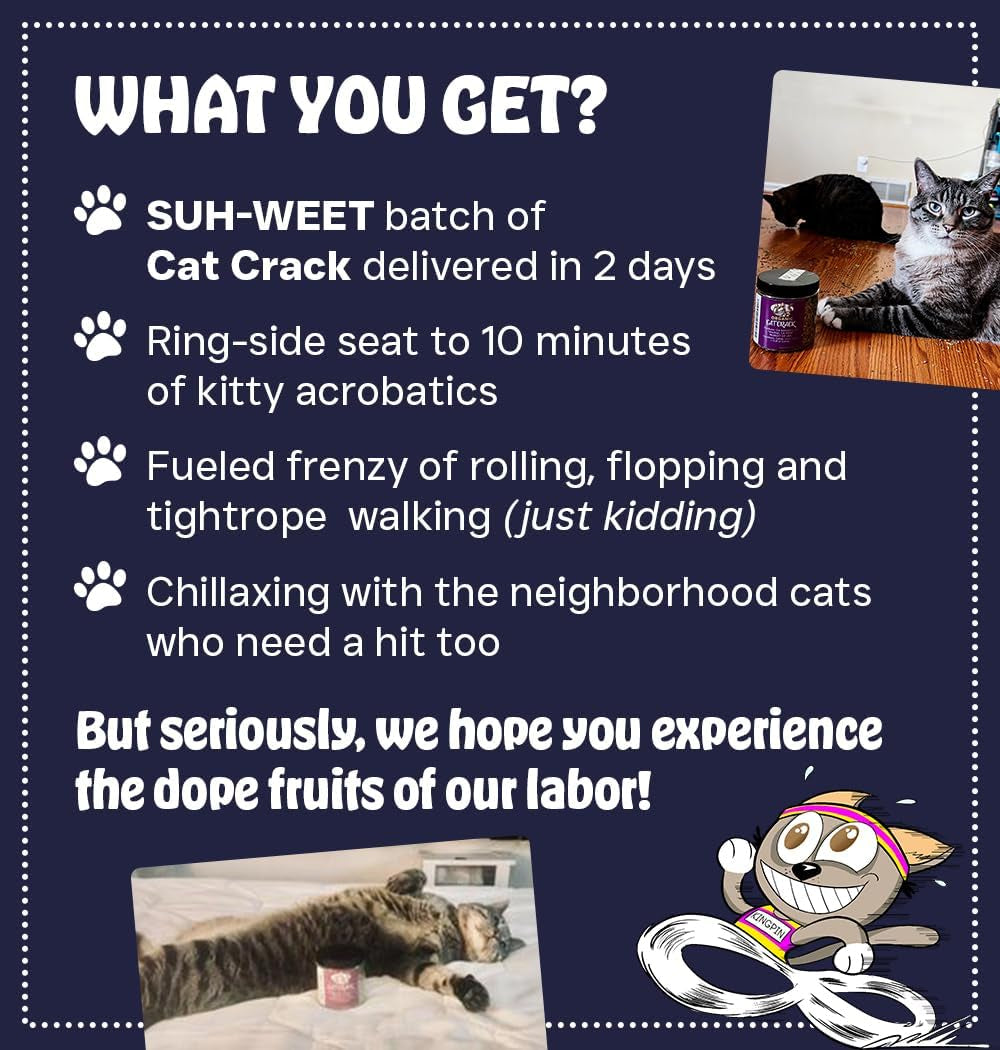 cat-crack-catnip-zoomie-inducing-cat-nip-100-natural-north-american-made-100-natural-safe-non-addictive-catnip-treats-used-to-supplement-cat-nip-toys-spray-accessories-1-cup