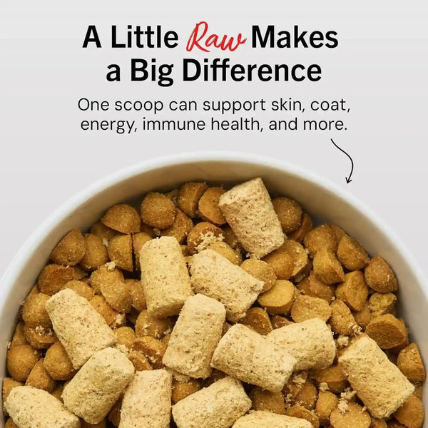 Stella & Chewy'S Freeze Dried Raw Meal Mixers – Crafted for Puppies – Grain Free, Protein Rich Perfectly Puppy Beef & Salmon Recipe – 3.5 Oz Bag2