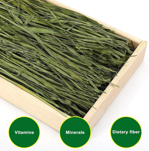 Premium Oat Hay, 1.1LB Small Pet Feed | Premium Dust Free Natural Green Oat Hay, Suitable for Rabbits, Guinea Pigs, Chinchillas, Hamsters, Gerbils2