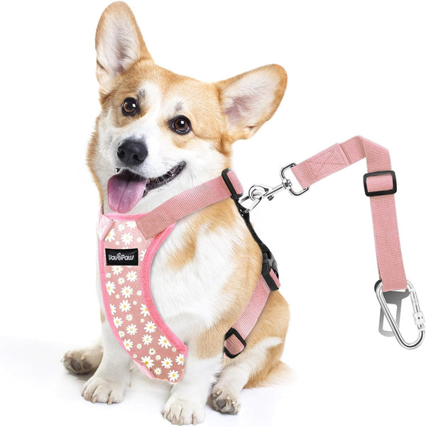 Vavopaw Dog Seat Belt Vest Harness for Car,2 in 1 Seatbelt Buckle | Soft Breathable Mesh,Adjustable Buckle,Nylon,Heavy Duty Pet Safety Seat Belts for Small Medium Large Pets,Black,L44