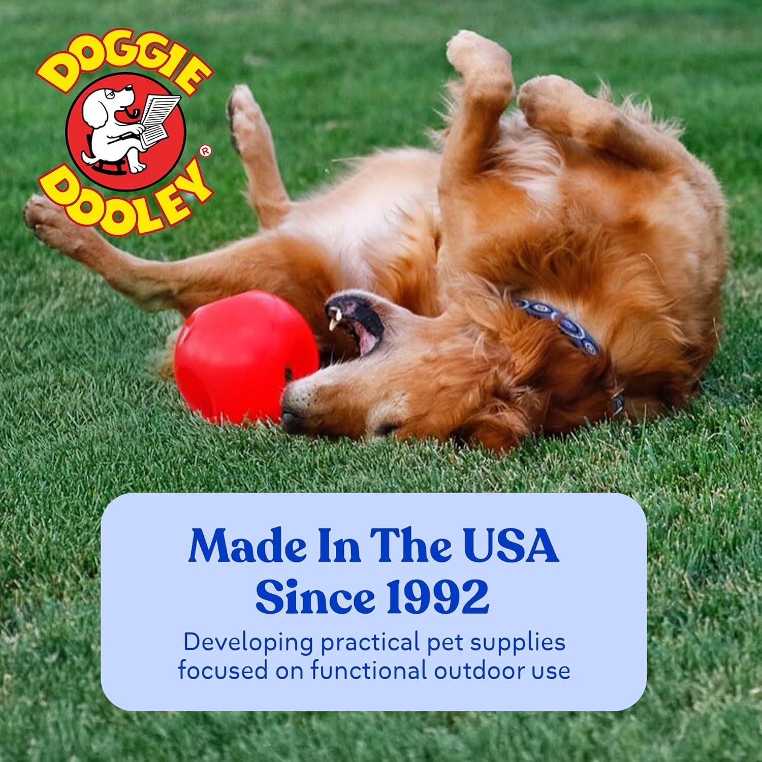 doggie-dooley-virtually-indestructible-dog-ball-10-inch-hard-plastic-interactive-dog-toy-for-large-breeds-over-45-lbs-built-for-herding-push-play-floats-in-water-made-in-usa-red