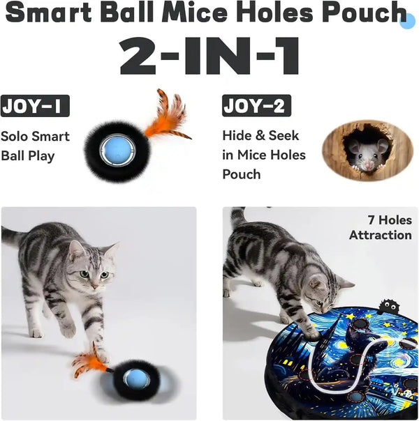 Interactive Cat Toy with Motion Activated Ball & 7-Hole Play Mat, Hide and Seek Exercise Game for Indoor Cats, Automatic Moving Cat Ball in Pouch, Rechargeable Kitten Toys (Starry Night)2