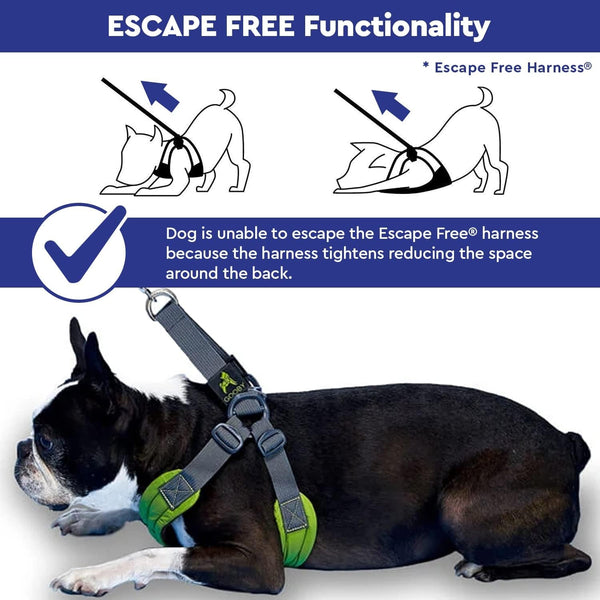 Gooby Escape Free Memory Foam Harness - Green, Large - No Pull Step-In Small Dog Harness with Four Point Adjustment - Perfect on the Go Dog Harness for Medium Dogs No Pull and Small Dogs4