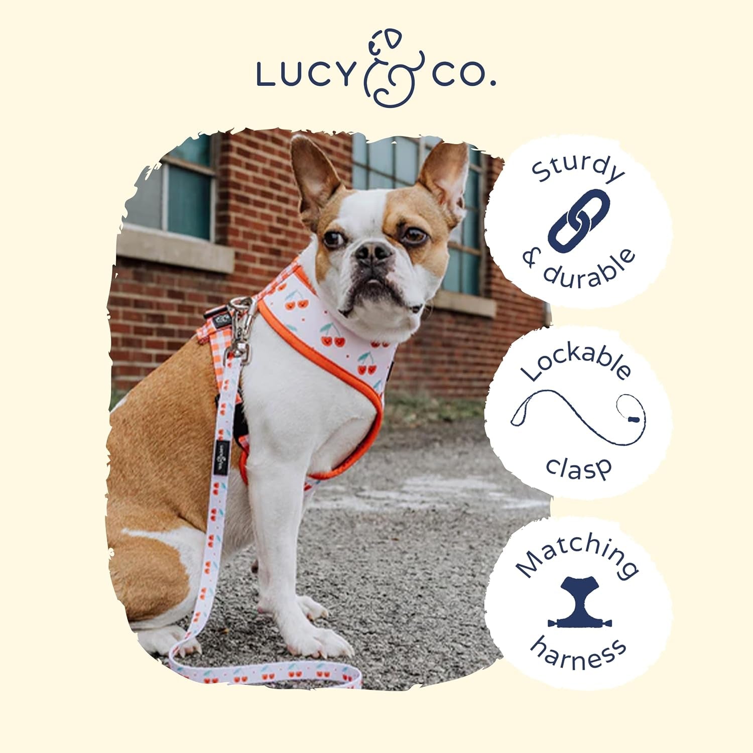 lucy-co-cheery-cherries-designer-dog-leash-for-small-to-large-dogs-padded-handle-for-comfort-large-red-gingham-cherries-5-foot