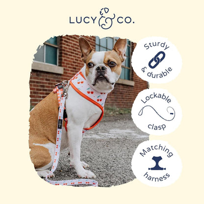 Lucy & Co. Cheery Cherries - Designer Dog Leash for Small to Large Dogs - Padded Handle for Comfort - Large, Red Gingham Cherries - 5 Foot3