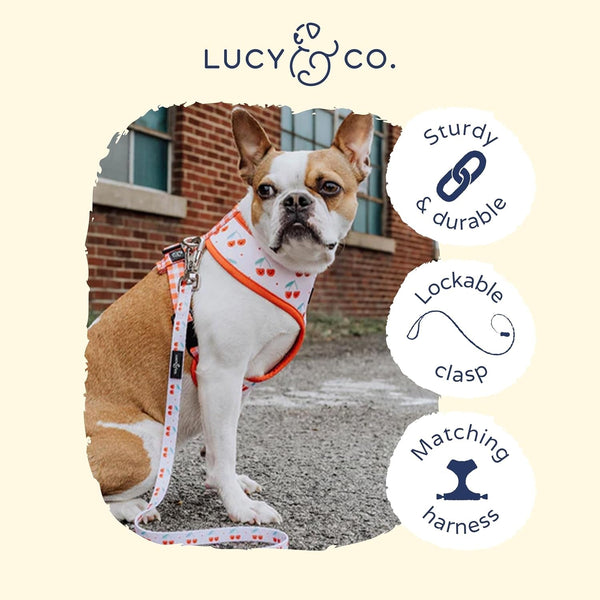 Lucy & Co. Cheery Cherries - Designer Dog Leash for Small to Large Dogs - Padded Handle for Comfort - Large, Red Gingham Cherries - 5 Foot3