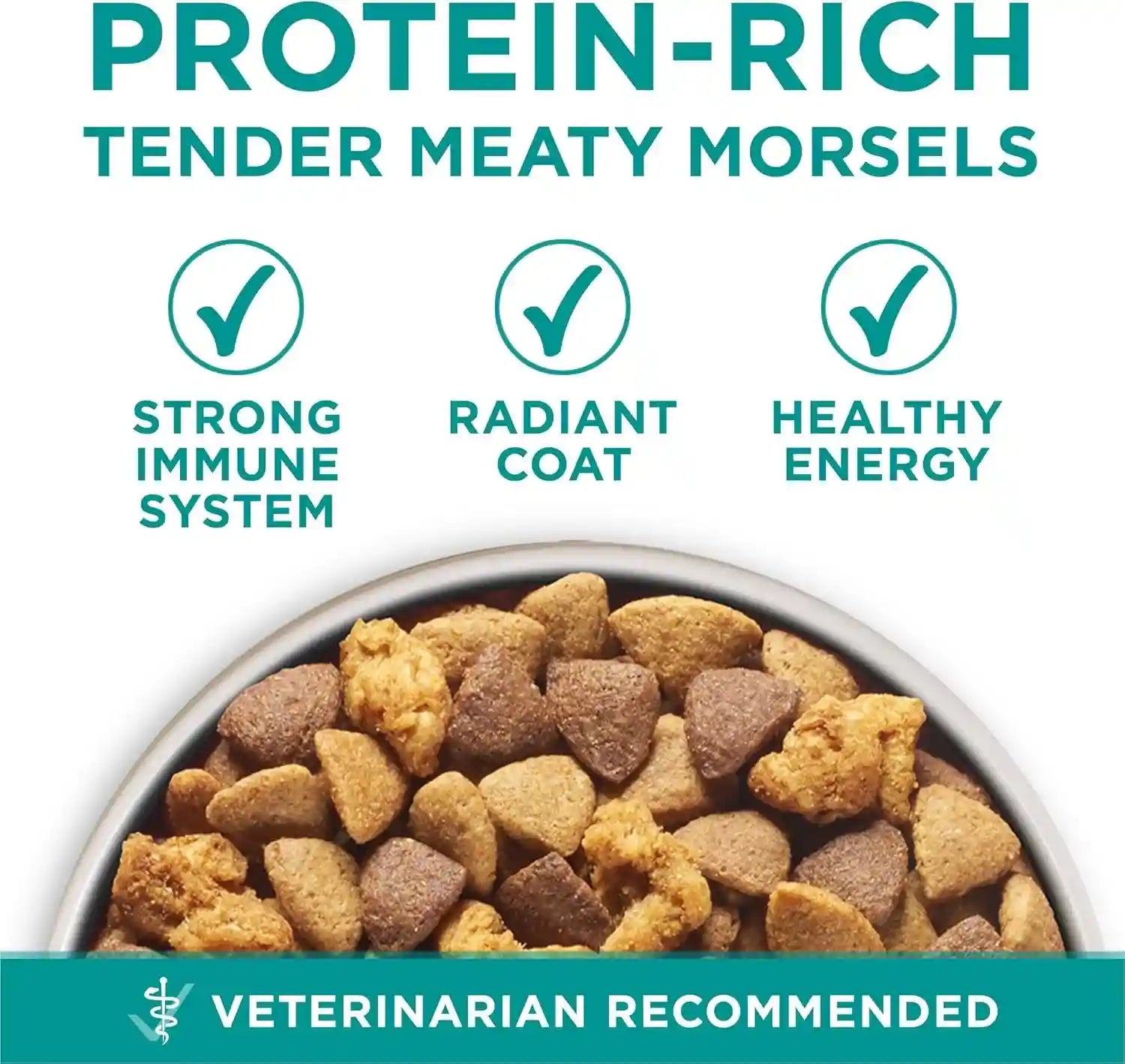 purina-one-plus-digestive-health-formula-dry-dog-food-natural-with-added-vitamins-minerals-and-nutrients-31-1-lb-bag