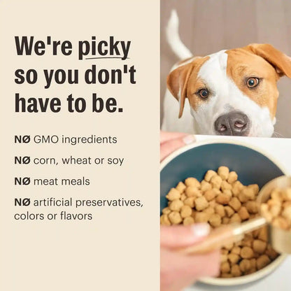 The Honest Kitchen Grain Free Beef & Superfoods Whole Food Clusters, Human Grade Dry Dog Food, Vet-Crafted Nutritional Support for Skin, Coat, Digestion & Overall Wellness, 5 Lb Bag9