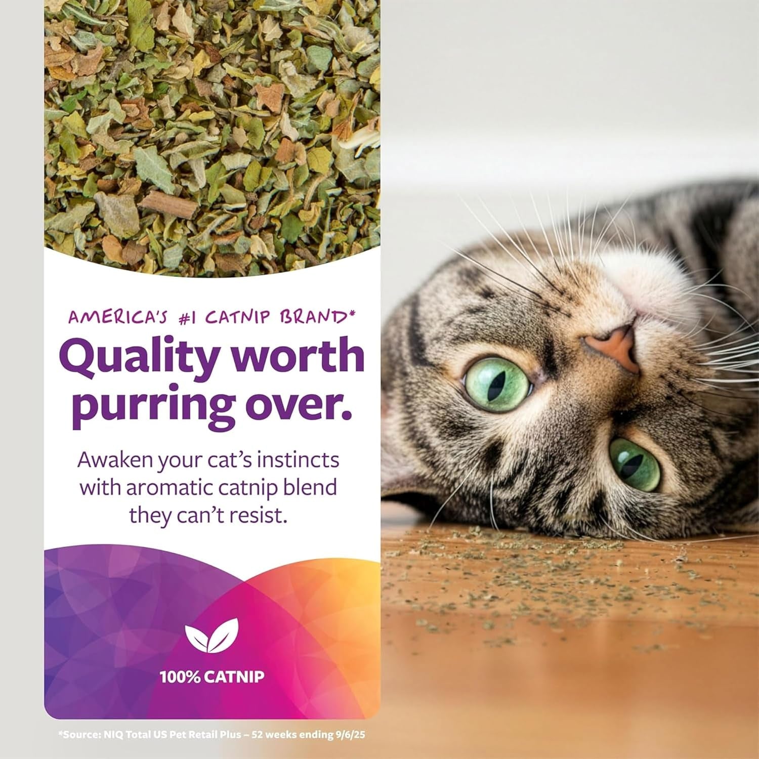 smartykat-natural-catnip-canister-100-natural-cat-nip-for-cats-premium-dried-catnip-for-indoor-cats-positive-training-aid-for-play-and-exercise-resealable-shaker-bottle-2-ounces