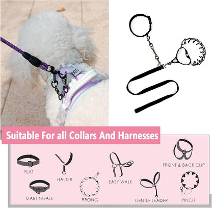 2 PCS Dog Collar Metal Safety Clip, Harness Collar Leash Chain Connector, Heavy Duty Double End Spring Backup Buckle Clasp, Escape-Proof Safety Accessory (Small, Black)6