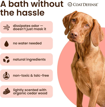 COAT DEFENSE Daily Preventative Powder | Made in USA | 9Oz Precision Point Waterless Dog Shampoo & Pet Deodorizer for Smelly Dogs | Provides anti Itch Relief | Dog Shampoo for Dry Itchy Skin2