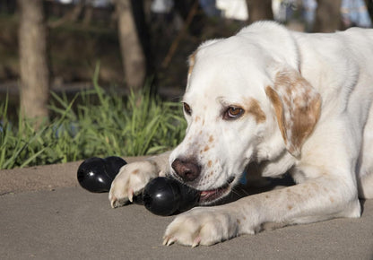 KONG - Extreme Goodie Bone - Kong'S Most Durable Natural Rubber Dog Bone for Power Chewers - Black - for Medium Dogs2