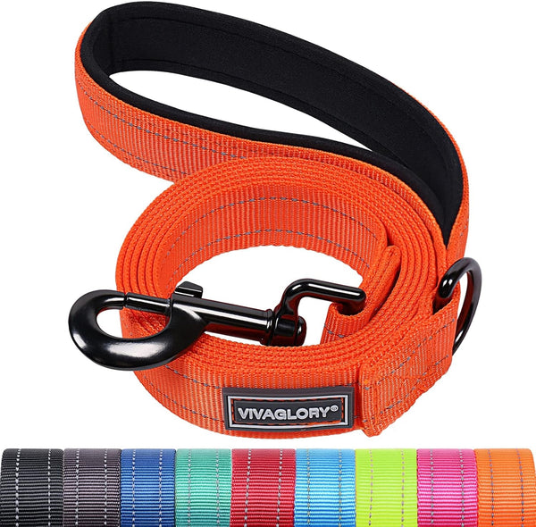 VIVAGLORY Dog Leash Puppy Leash for Collar, 3Ft X 1In, Black | with Soft Padded Handle for Training & Walking, Heavy Duty & Double Layer Nylon Pet Puppy45
