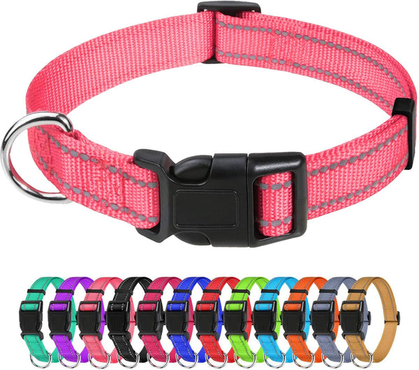 Tagme Small Dog Collar, Reflective Puppy Collar, Sky Blue, 3/8" Width | Lightweight, Nylon Collar for Puppies, Chihuahua, Yorkie & Teacup Dogs 5-15 Lbs, Reflective for Evening Walks, 12 Colors23