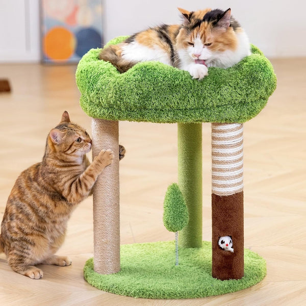 WOOCHPET 20 Inch Small Cat Tree for Indoor Cats and Kittens, Cat Tower with 3 Sisal Scratching Posts, Removable Washable Perch Bed, Hanging Toy Ball, Compact Cat Condo for Small Spaces2