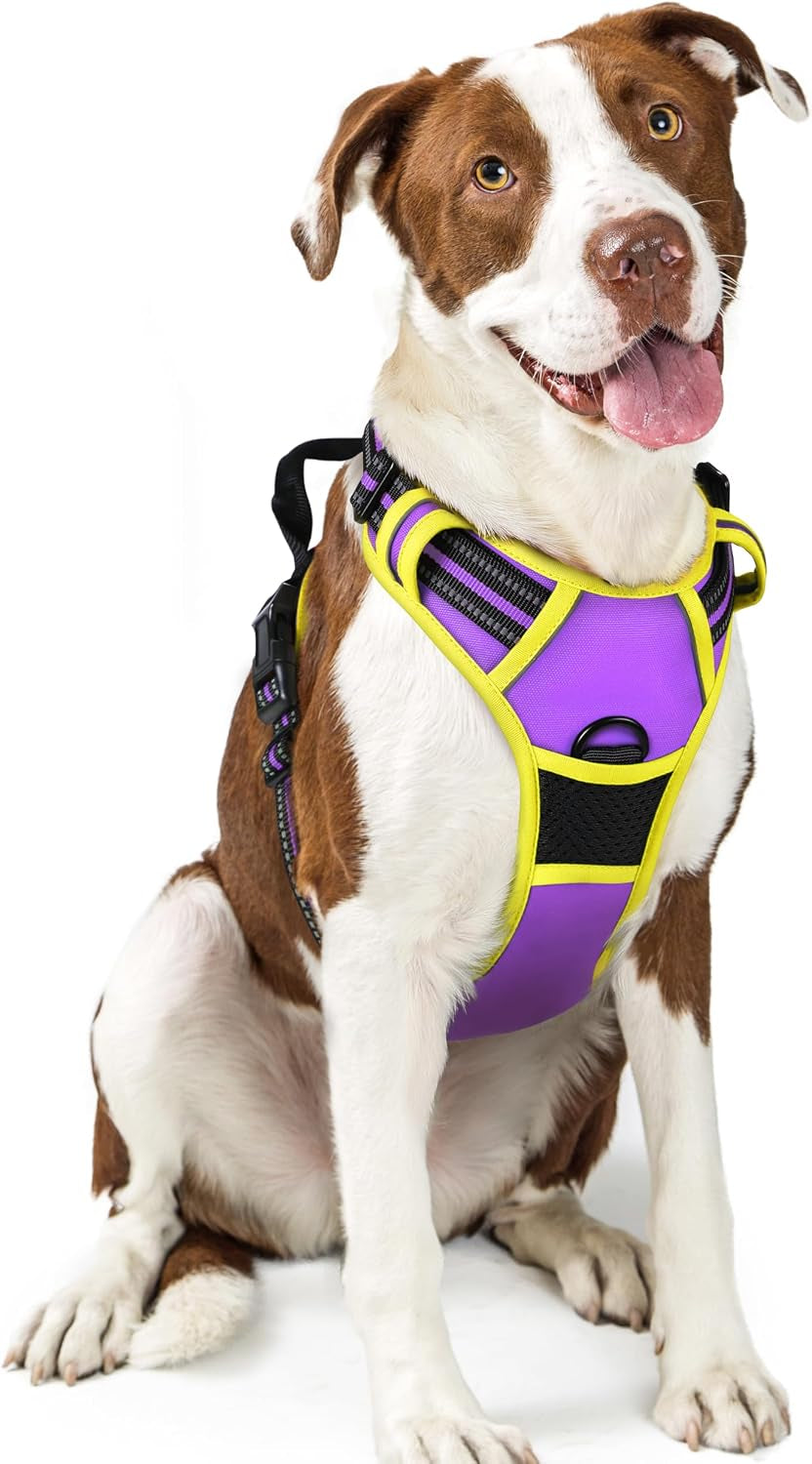 rabbitgoo-dog-harness-no-pull-for-large-dogs-with-2-leash-clips-pet-vest-no-choke-with-handle-adjustable-soft-padded-reflective-easy-control-for-walking-black-large