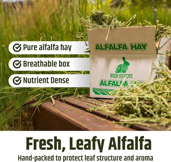 High Desert Alfalfa Hay, Protein Rich Soft Leaf Food for Young Growing Animals, Natural Rabbit Food and Guinea Pig Hay, Supports Digestive Health, Small Pet Supplies, Fresh Hand Packed 5 Lb Box | Protein Rich Soft Leaf Forage, Ideal for Growing Kits and Nursing Mothers, Great Calcium Source, Hand Packed, Low Dust6