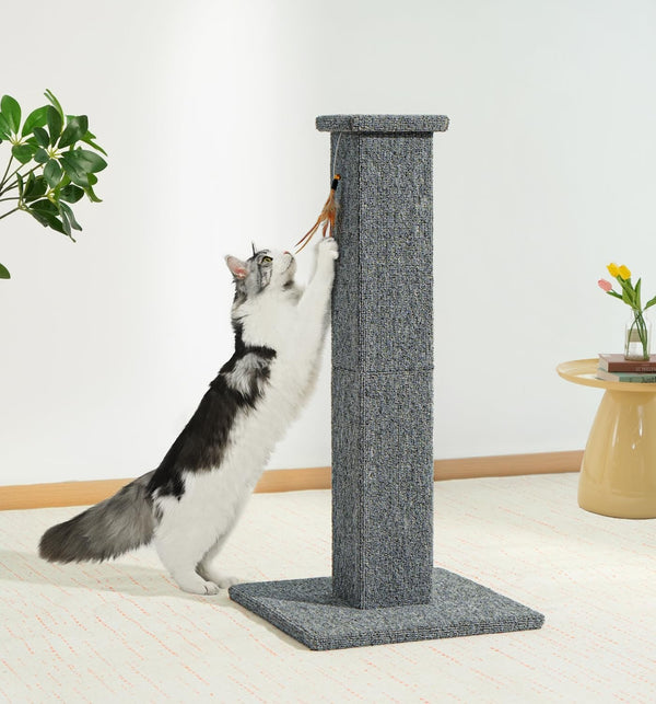 Made4Pets Cat Scratching Post for Indoor Cats, Carpet Cat Scratcher, 32" | Soft Carpet Surface for Cats That Prefer Fabric Scratching, Stable Base, Full-Body Stretching, Ideal for Kittens & Adult Cats8