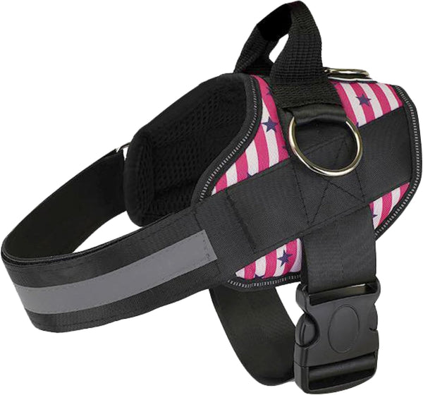 Joyride Basic Dog Harness 1.0 | Blue Serenity | M | Adjustable Pet Vest with 3 Side Leash Rings for Training, Walking and Improved Control for Small, Medium or Large Dogs12