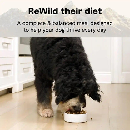 Open Farm Rawmix Grain Free Dry Dog Food, Front Range Kibble, 20Lb Bag | Grass Fed Beef, Pasture Raised Lamb, Humanely Raised Pork, Freeze Dried Raw Chunks, 100% Traceable Ingredients.2