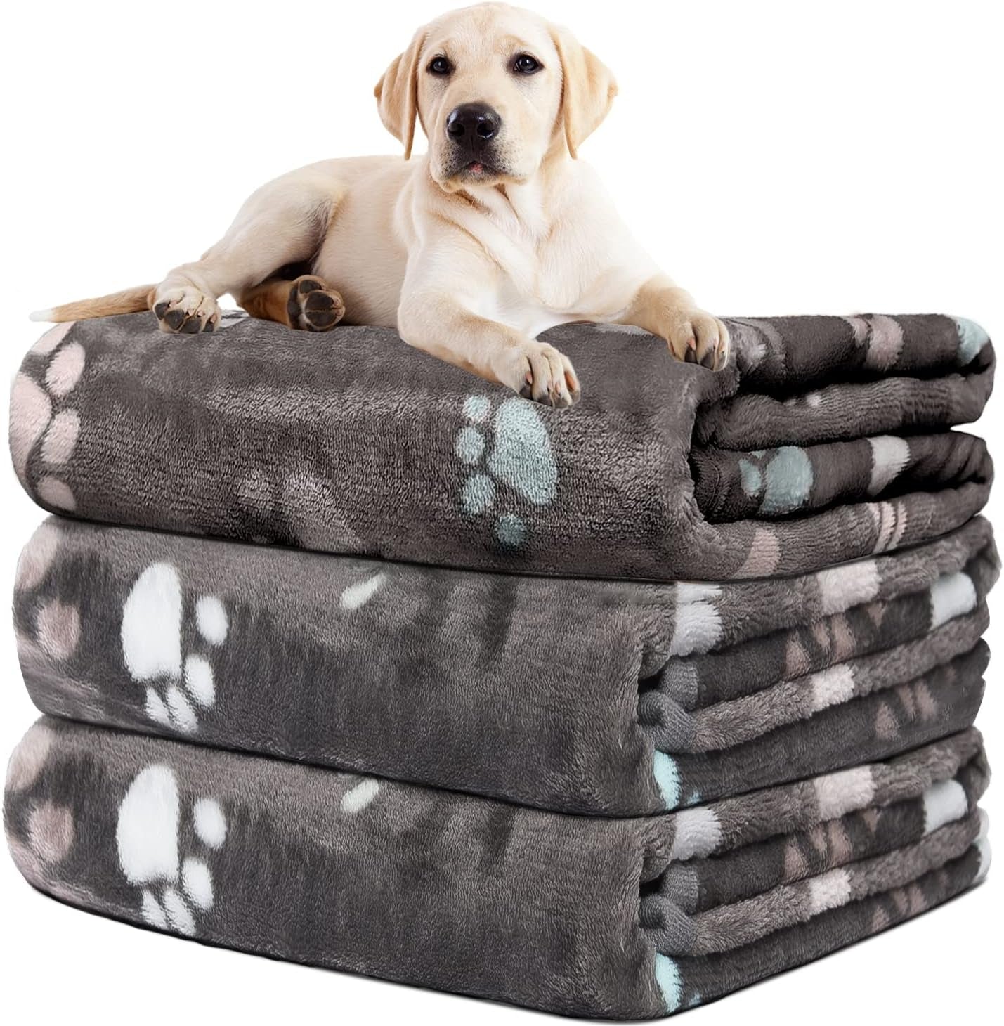 rezutan-dog-blankets-for-3-pack-large-medium-pet-cat-soft-fuzzy-washable-blanket-comfort-flannel-suitable-for-dogs-kennels-beds-sofas-furniture-gifts-puppy-essentials-41-x-31-inch-black