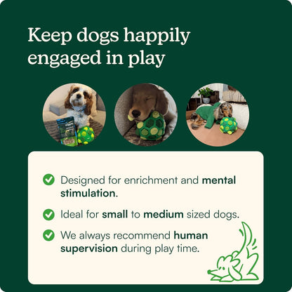 Reggie Forager Ball for Dogs | Interactive Treat Dispensing Dog Enrichment Toys | Reduces Boredom, Stress & Hyperactivity | Snuffle Toys for Dogs | Durable & Washable Dog Puzzle Toy3