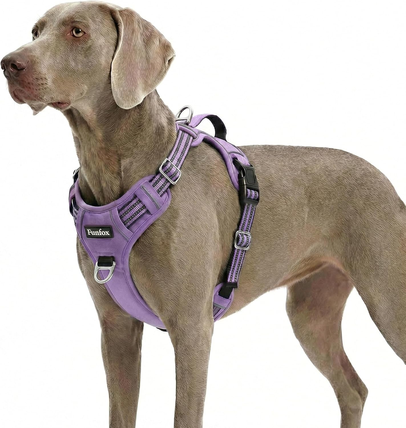funfox-dog-harness-medium-sized-dog-vertical-handle-easy-control-no-pull-pet-vest-adjustable-with-2-leash-clips-soft-material-reflective-safe-night-walking-for-small-medium-large-breed-black-m