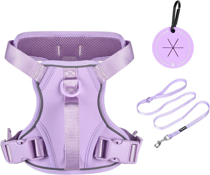 Petmolico No Pull Cute Dog Harness Reflective, Light Blue, Small | Set Includes Leash & Waste Bag Holder, 2 Clips & Handle, Soft Comfy Fit, Adjustable, Ideal for Daily Walks & Travel7