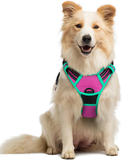 Rabbitgoo Dog Harness, No Pull for Large Dogs with 2 Leash Clips, Pet Vest | No Choke with Handle, Adjustable Soft Padded, Reflective, Easy Control for Walking, Black, Large76