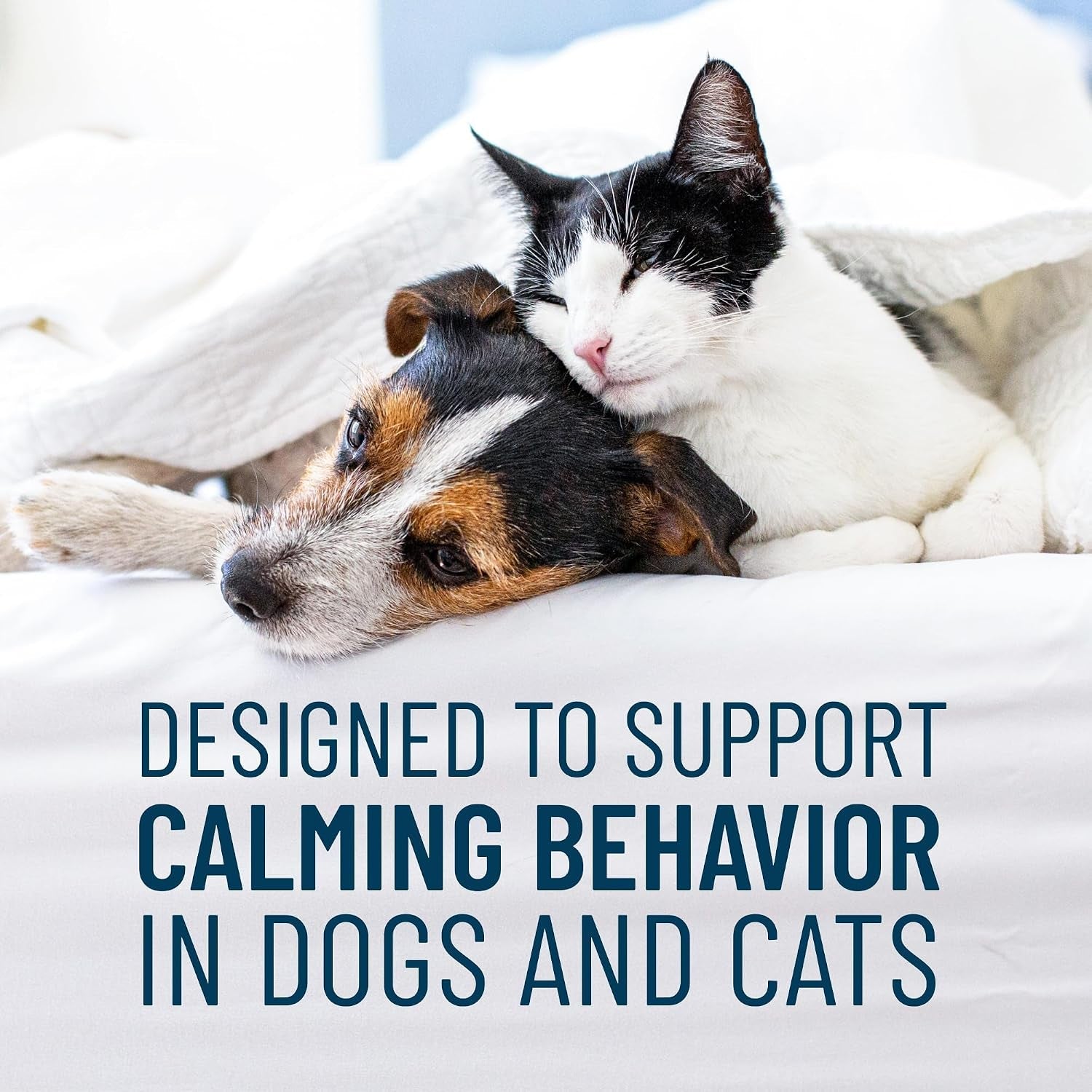 nutramax-solliquin-cat-small-dog-calming-support-soft-chews-75ct