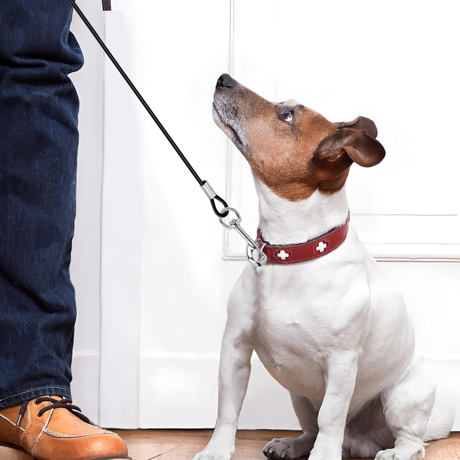2-pcs-chew-proof-metal-dog-cable-lead-single-hook-no-tangle-leash-extender-for-small-medium-dogs-collar-harness