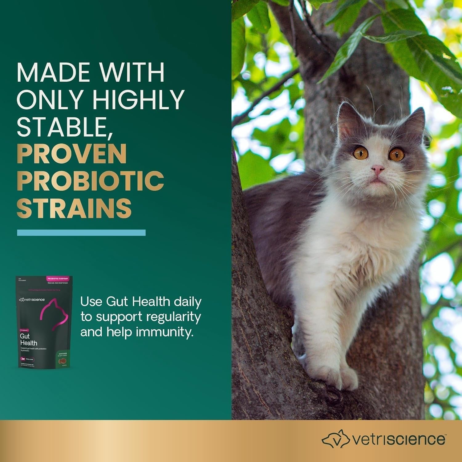 vetriscience-gut-health-chews-probiotic-everyday-digestive-supplement-for-cats-pet-probiotics-for-digestion-support-gas-and-diarrhea-immune-support-120-million-cfu-per-chew-duck-60-count