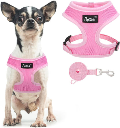 PUPTECK Soft Mesh Dog Harness Small Sized and Leash Set Pet Puppy Cat Comfort Padded Vest No Pull Harnesses, Beige, S79